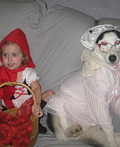 Little Red Riding Hood and The Big Bad Wolf Costumes - 2012 Halloween Costume Contest Little Red Riding Hood and Wolf Costume