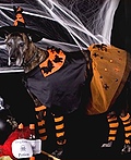 Witch's  Mattie & Tobi Costume