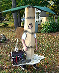 Palm Tree with Treasure Chest Costume
