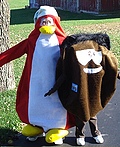 Penguin & Puffle Costume