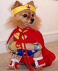 Wonder Woman Costume