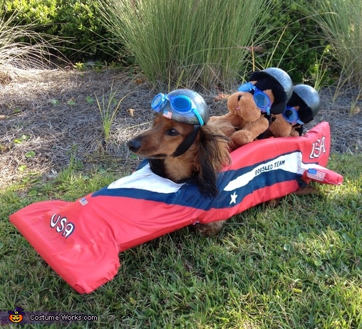 american_bobsled_hotdog_team2.jpg