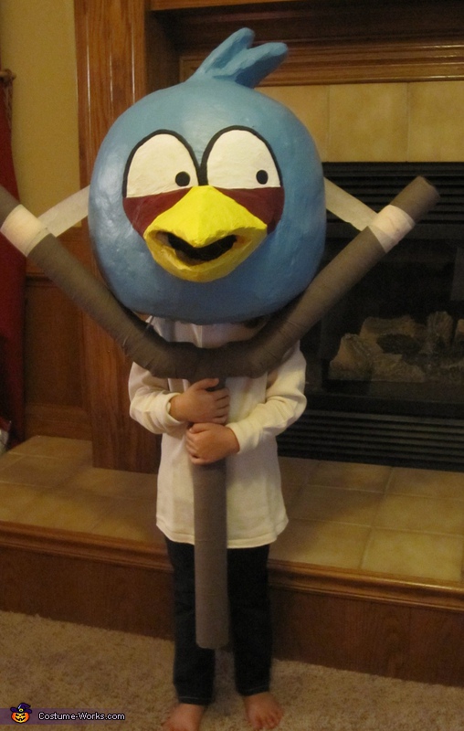 Angry Birds Game Characters Costume Ideas Photo 3/4