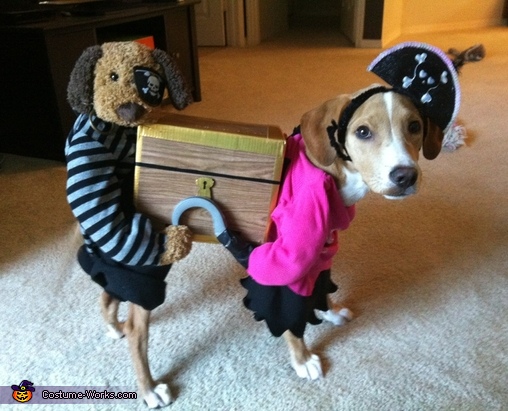 Pirates Carrying a Treasure Chest - Creative Costume for Dogs