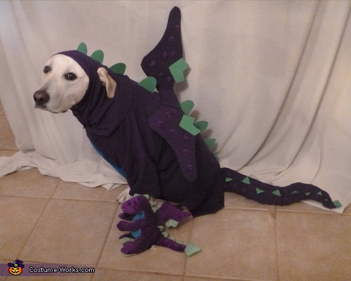 Image result for dog in dragon costume