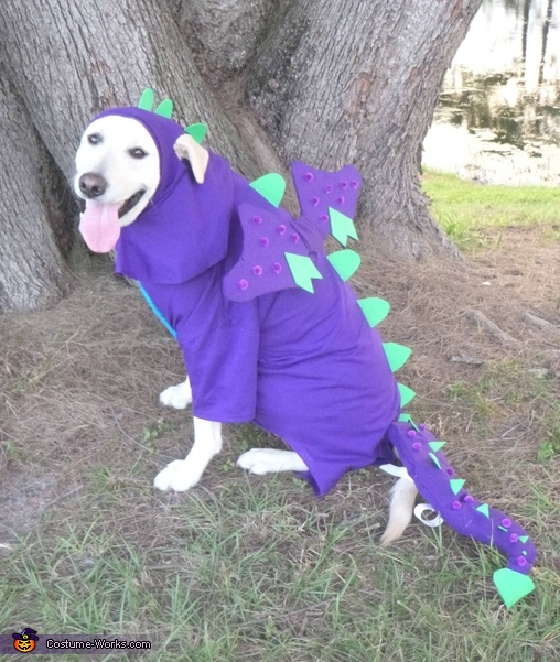 Homemade Dragon Costume