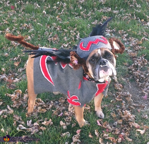 Flying Monkey Dog Costume DIY