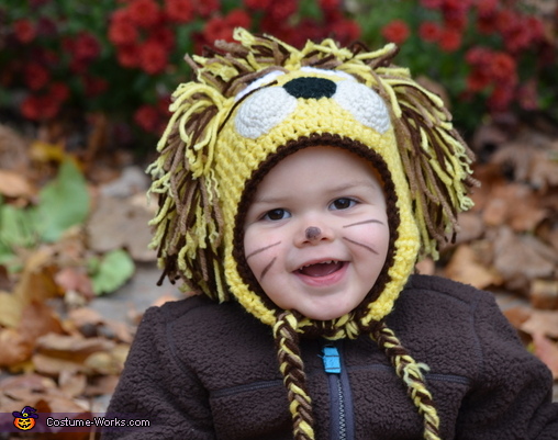 Little Homemade lion zoo babies  animal closeup. costumes costumes diy for Lion  for kids
