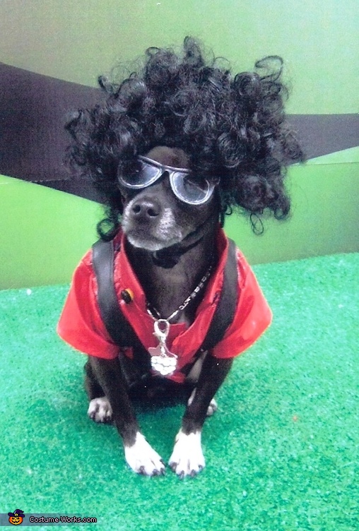 Michael Jackson Thriller - Halloween Costume for Dogs