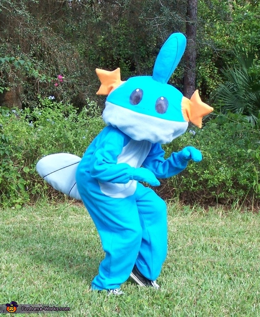 Image result for mudkip