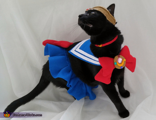 Sailor moon cat costume