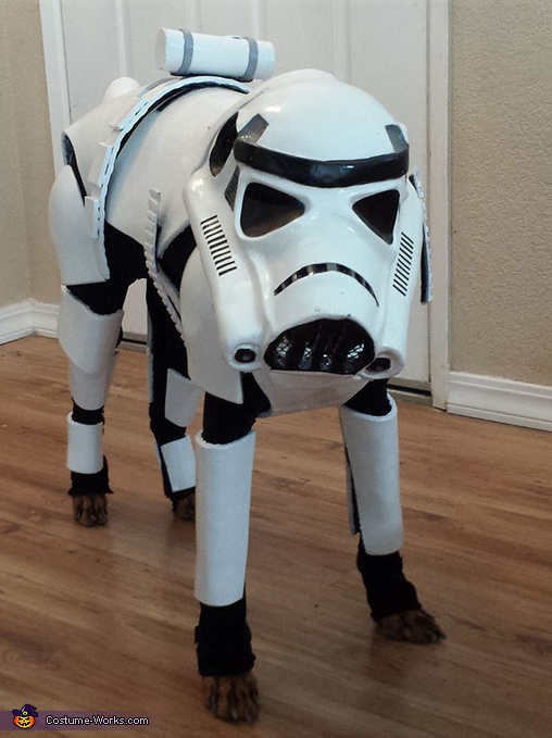 Stormtrooper Dog Costume
