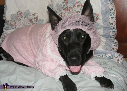 The Big Bad Wolf in Grandmother's Clothing Costume for Dogs