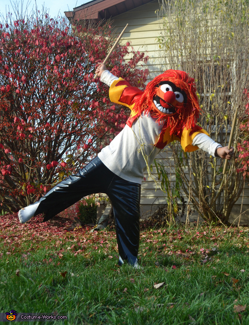 diy crazy!, toddler Muppets is costumes muppet Animal The animal  Costume