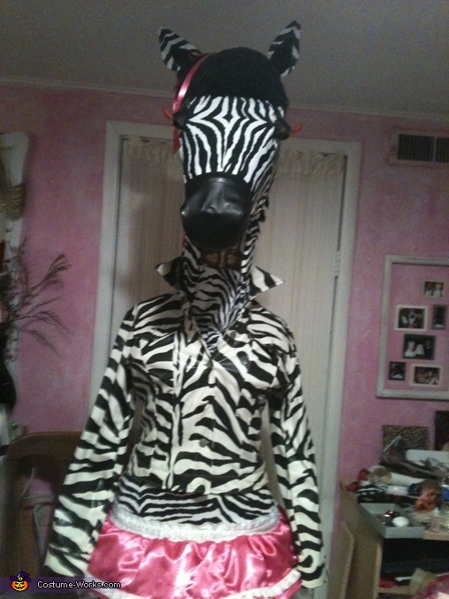 Disco Zebra Homemade Halloween Costume