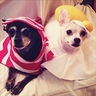 Photo #1 - Bacon & Eggs