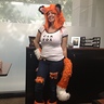 Photo #1 - Car Fox at work