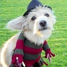 Photo #3 - Freddy Krueger