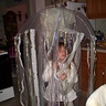Photo #1 - Jellyfish