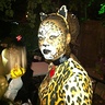 Photo #1 - Serious Kitty
