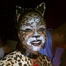Photo #2 - Happy Kitty