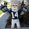 Photo #3 - Mini Cougar Mascot