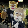 Photo #5 - Mini Cougar Mascot