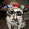 Photo #1 - I am not English... I am Mexican