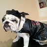 Photo #2 - Biker Babes "dig" me