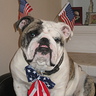 Photo #4 - AMERICA FOREVER