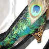 Photo #5 - Peacock Showgirl  - Shoes 3