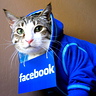 Photo #2 - Facebook Hoodie
