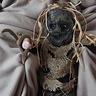 Photo #2 - Scary Scarecrow
