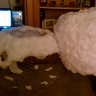 Photo #6 - Snowman