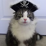 Photo #3 - Toby the Pirate