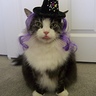 Photo #1 - Toby the Witch
