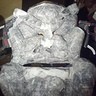 Photo #4 - Trantor the Troll