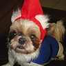 Photo #3 - Travelocity Gnome