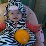 Photo #1 - I'ma baby zebra with my pumpkin