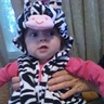 Photo #3 - Baby zebra