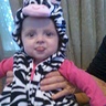 Photo #4 - Baby zebra
