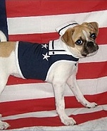 U.S. Navy Homemade Costume