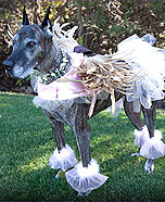 Earth Angel Mattie Costume for dog