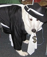 Gangsta Dog Costume