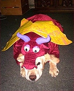Red Dragon Costume