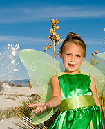 Fairy costume