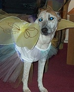 Halloween Fairy Costume