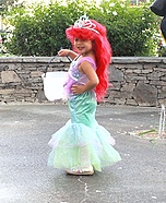 Disney Mermaid Ariel and Sebastian Costumes