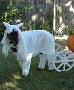 White Horse & Pumpkin Carriage Costume for dog