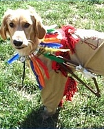 Little Indian Costume